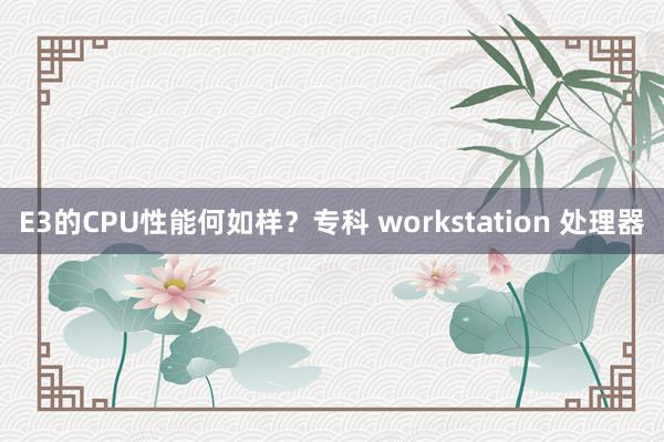 E3的CPU性能何如样？专科 workstation 处理器