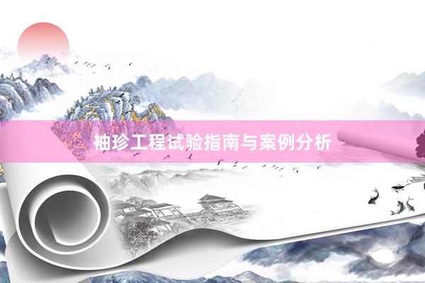 袖珍工程试验指南与案例分析
