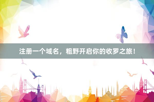 注册一个域名，粗野开启你的收罗之旅！